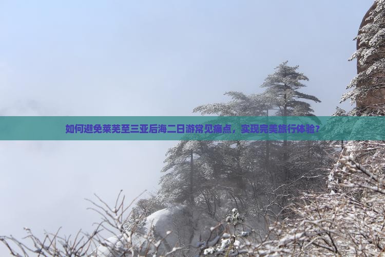 如何避免莱芜至三亚后海二日游常见痛点，实现完美旅行体验？