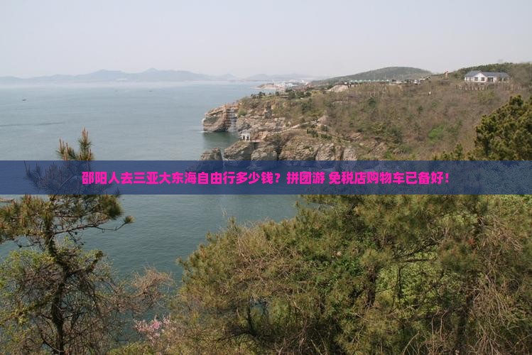 邵阳人去三亚大东海自由行多少钱？拼团游+免税店购物车已备好！
