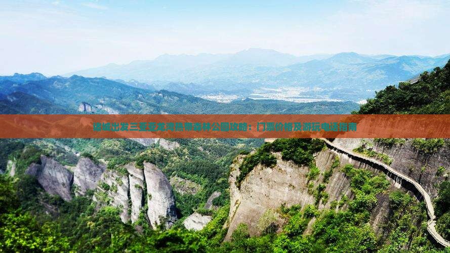 诸城出发三亚亚龙湾热带森林公园攻略：门票价格及游玩电话指南
