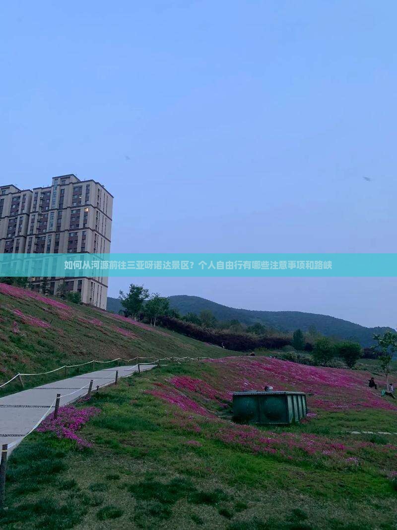 如何从河源前往三亚呀诺达景区？个人自由行有哪些注意事项和路峡