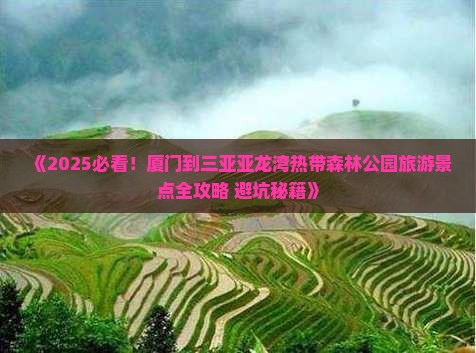 厦门去三亚亚龙湾热带森林公园旅游打卡点