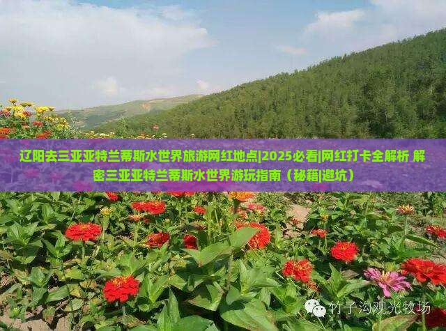 辽阳去三亚亚特兰蒂斯水世界旅游网红地点