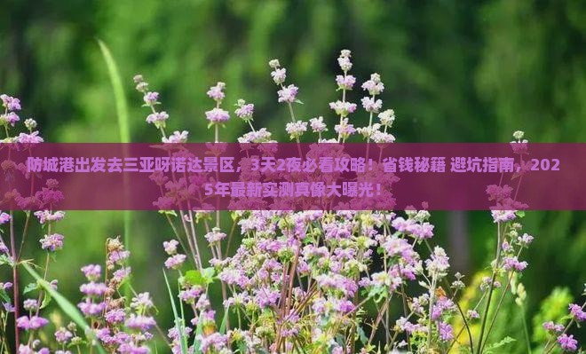 防城港出发三亚呀诺达景区旅游打卡点