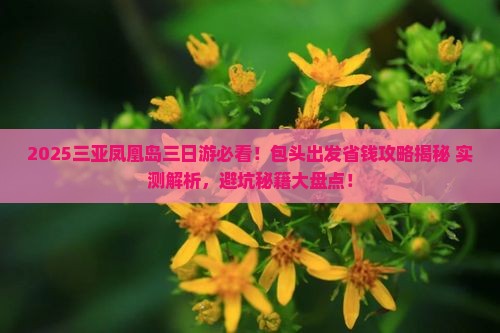 包头出发三亚凤凰岛三日游