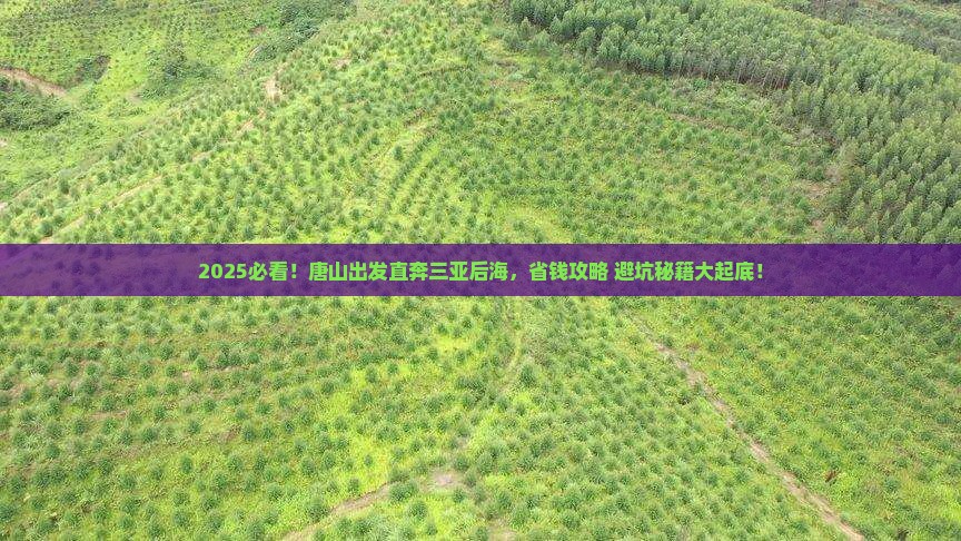 唐山前往三亚后海自由行