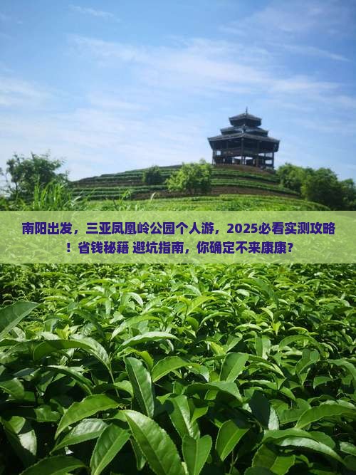 南阳出发三亚凤凰岭公园个人游
