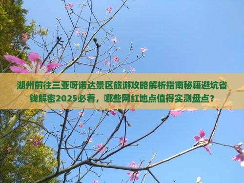 湖州前往三亚呀诺达景区旅游网红地点