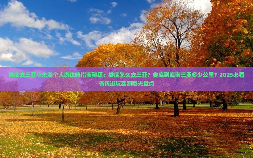 娄底去三亚小东海个人游