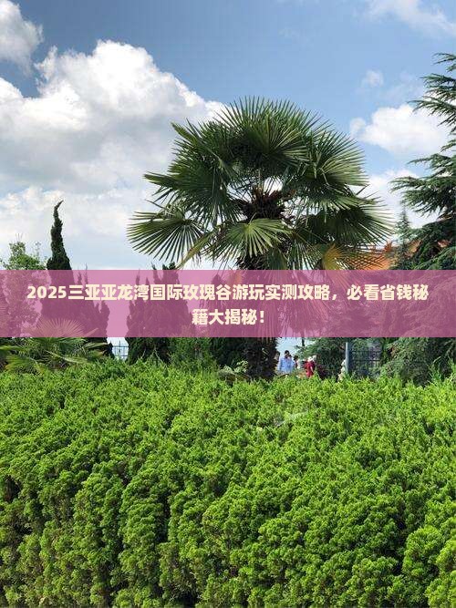 哈密去三亚亚龙湾国际玫瑰谷必玩地