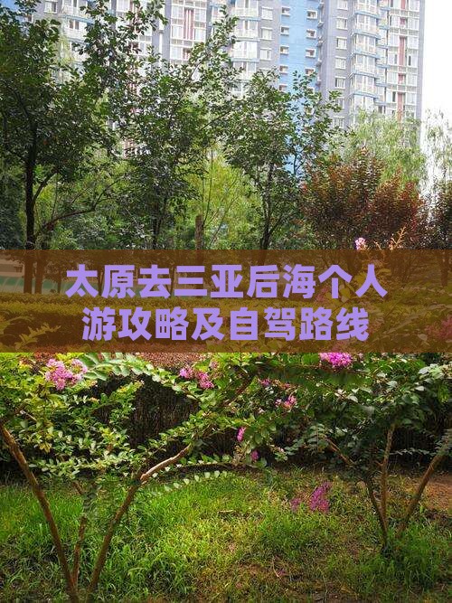 太原去三亚后海个人游