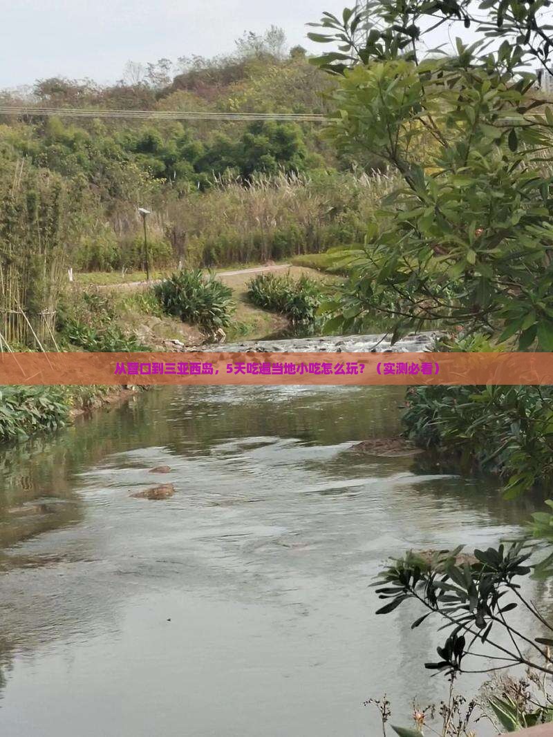 营口前往三亚西岛旅游小吃