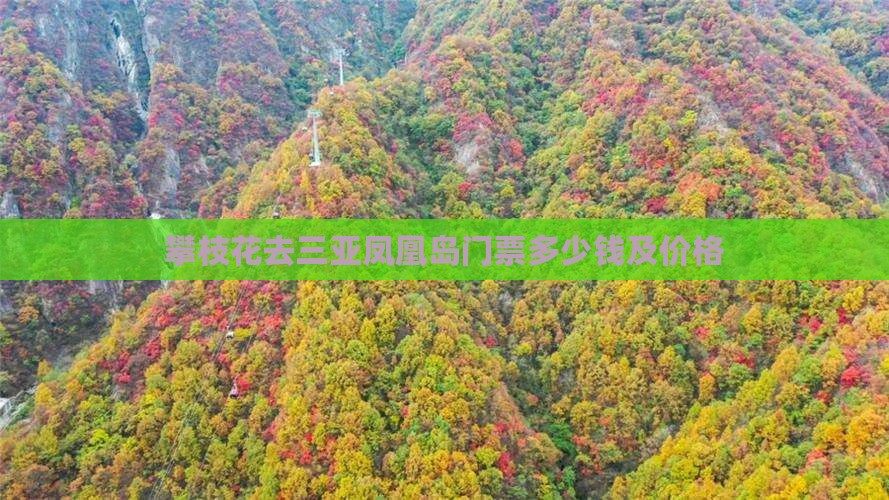攀枝花去三亚凤凰岛门票