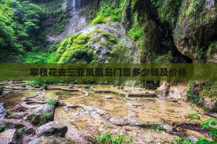 攀枝花去三亚凤凰岛门票