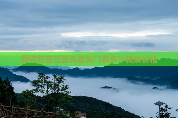 攀枝花去三亚凤凰岛门票