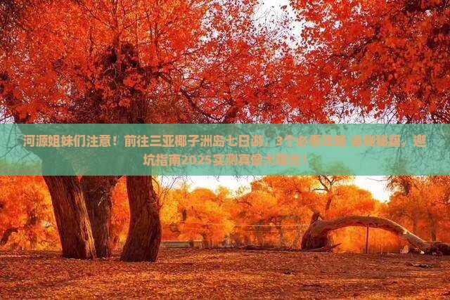 河源前往三亚椰子洲岛七日游