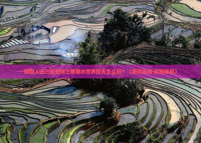 铜陵去三亚亚特兰蒂斯水世界四日游