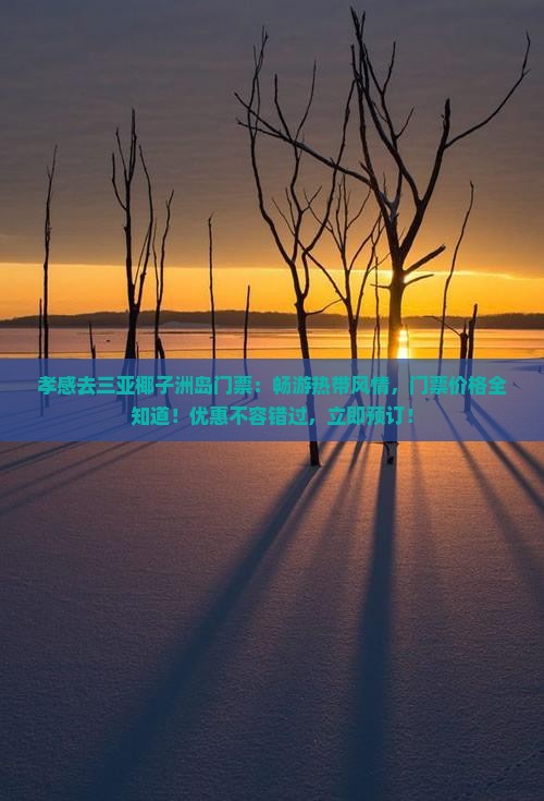 孝感去三亚椰子洲岛门票