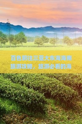 百色前往三亚大东海旅行社