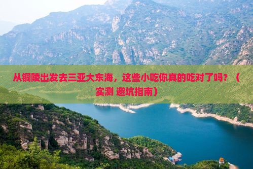 铜陵出发三亚大东海旅游小吃