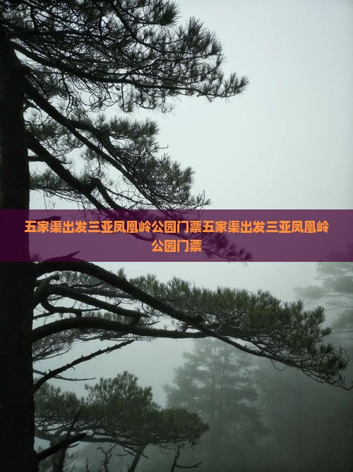 五家渠出发三亚凤凰岭公园门票