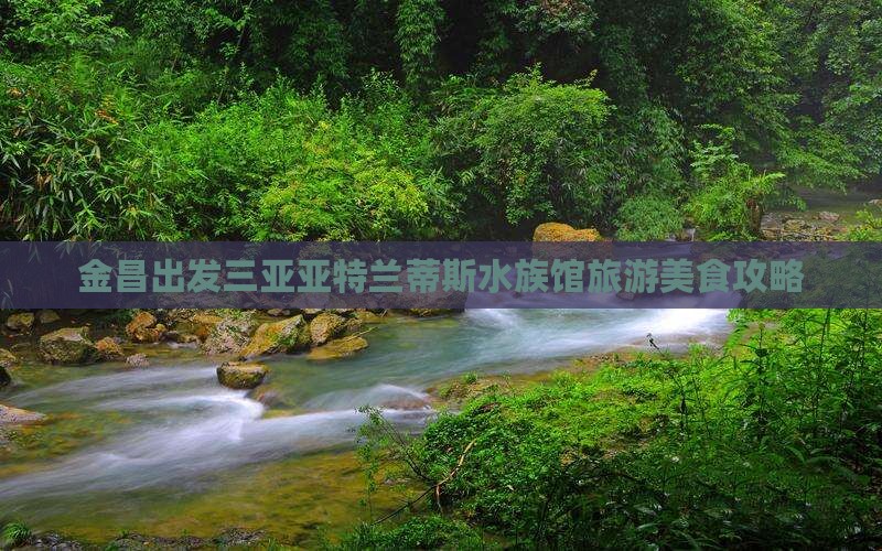 金昌出发三亚亚特兰蒂斯水族馆旅游小吃