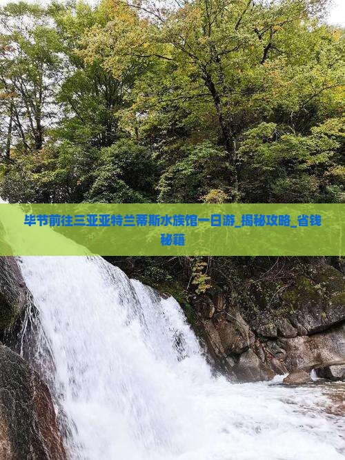 毕节前往三亚亚特兰蒂斯水族馆一日游