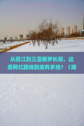 丽江前往三亚椰梦长廊旅游网红地点