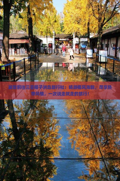 襄樊前往三亚椰子洲岛旅行社