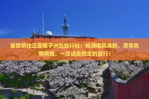 襄樊前往三亚椰子洲岛旅行社