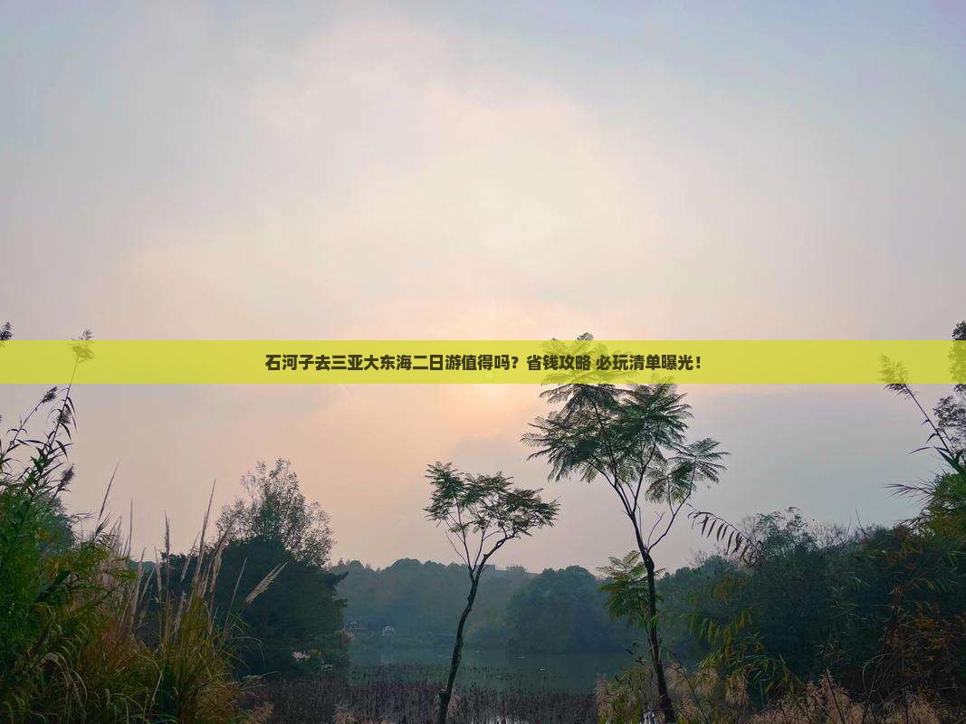 石河子去三亚大东海二日游