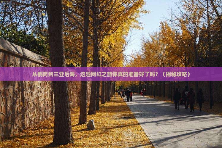 鹤岗去三亚后海旅游网红地点