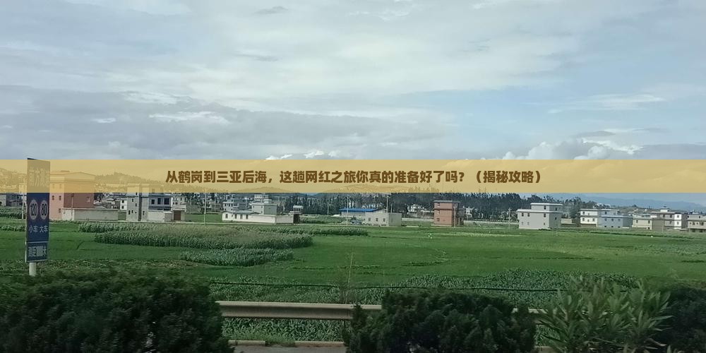 鹤岗去三亚后海旅游网红地点