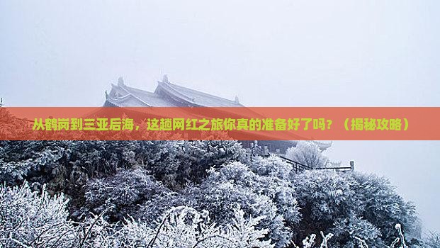 鹤岗去三亚后海旅游网红地点