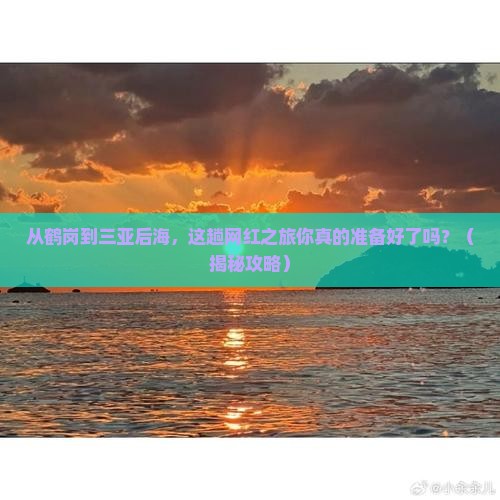 鹤岗去三亚后海旅游网红地点