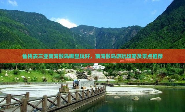 仙桃去三亚南湾猴岛哪里玩