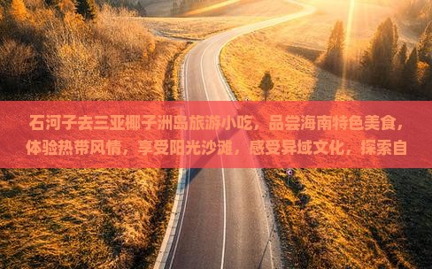 石河子去三亚椰子洲岛旅游小吃