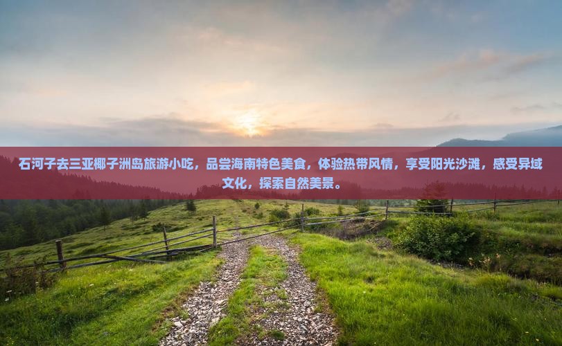 石河子去三亚椰子洲岛旅游小吃