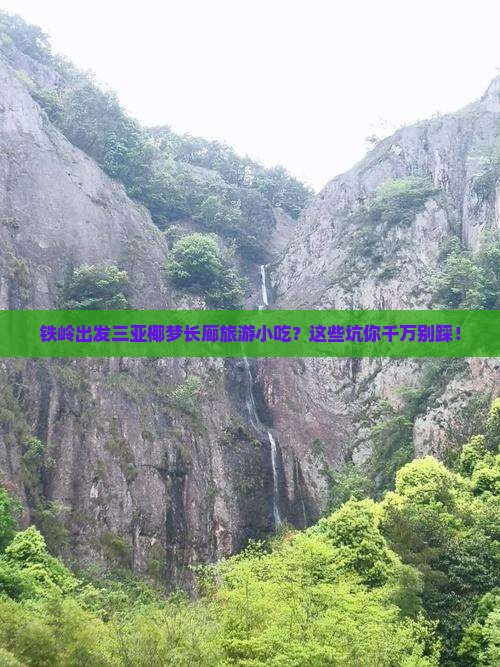 铁岭出发三亚椰梦长廊旅游小吃