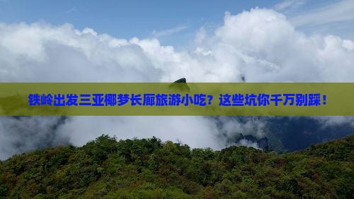 铁岭出发三亚椰梦长廊旅游小吃