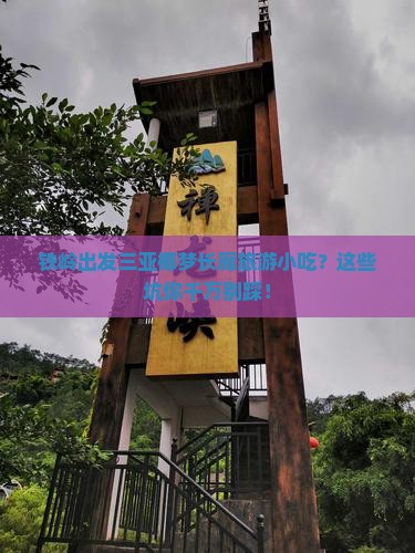 铁岭出发三亚椰梦长廊旅游小吃
