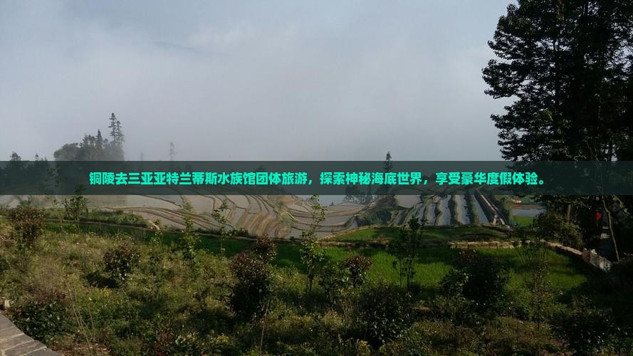铜陵去三亚亚特兰蒂斯水族馆团体旅游