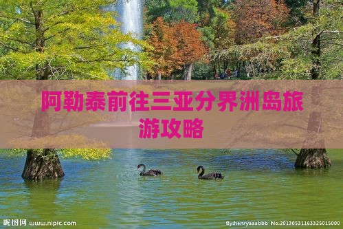阿泰勒前往三亚分界洲岛旅行社