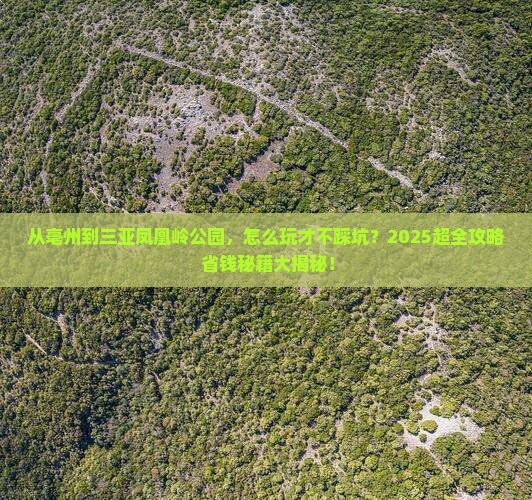 亳州去三亚凤凰岭公园哪里玩