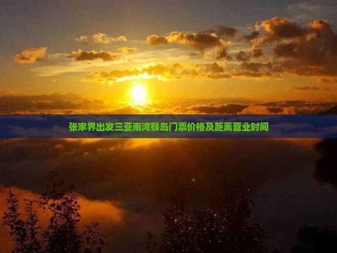 张家界出发三亚南湾猴岛门票