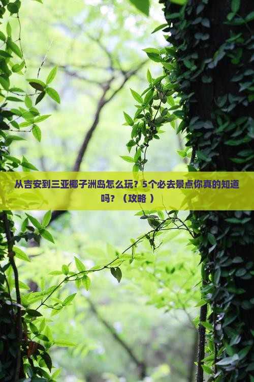 吉安前往三亚椰子洲岛必玩地