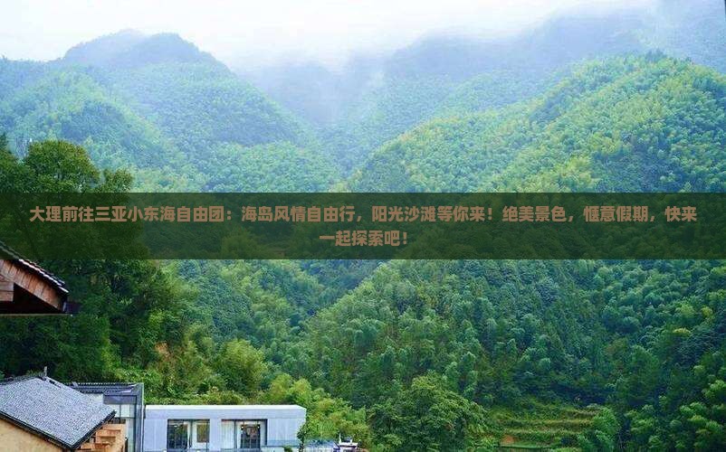 大理前往三亚小东海自由团