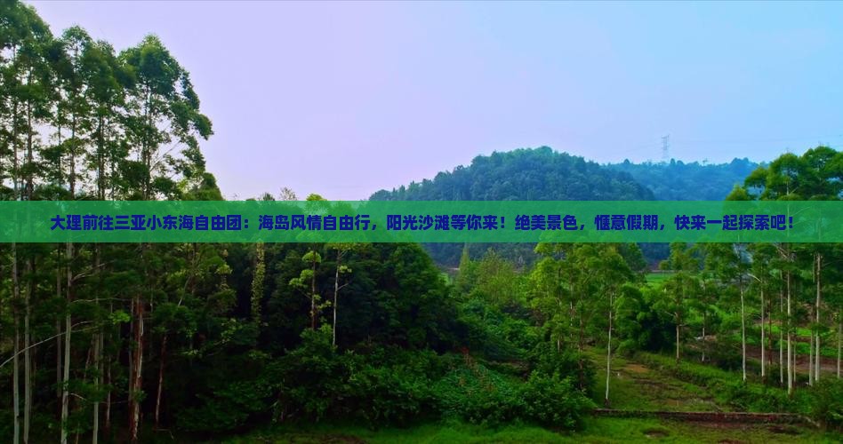 大理前往三亚小东海自由团