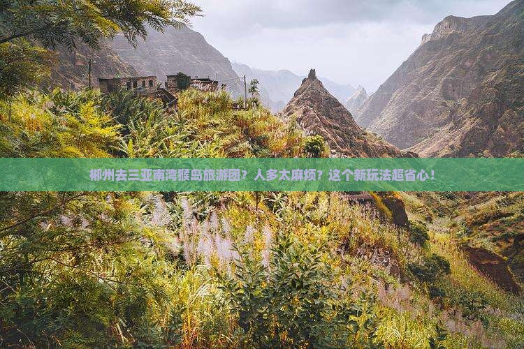 郴州前往三亚南湾猴岛大型旅游团