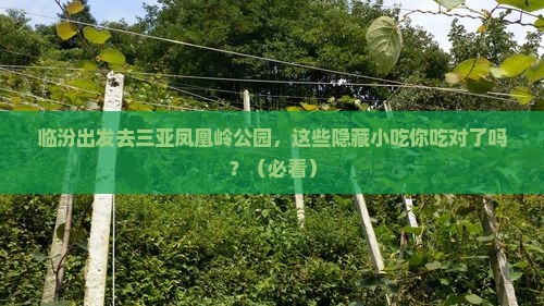 临汾出发三亚凤凰岭公园旅游小吃