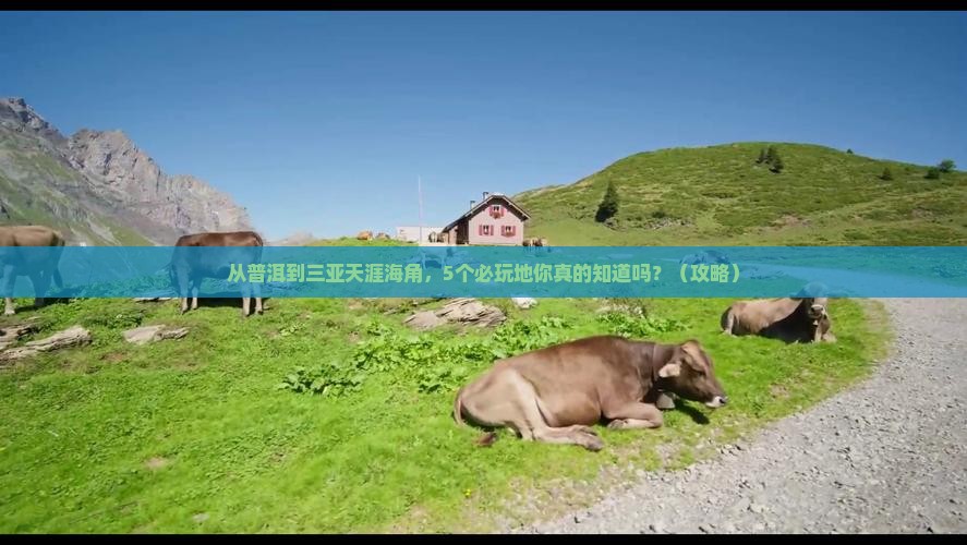 普洱去三亚天涯海角必玩地
